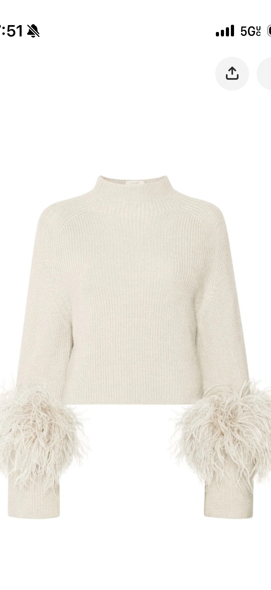 Merino Mock Neck Sweater With Feathers La Pointe (xs)