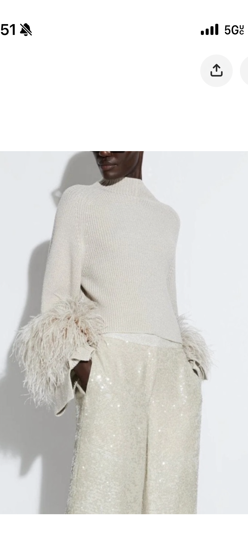 Merino Mock Neck Sweater With Feathers La Pointe (xs)